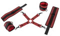 Bondage-Set 474